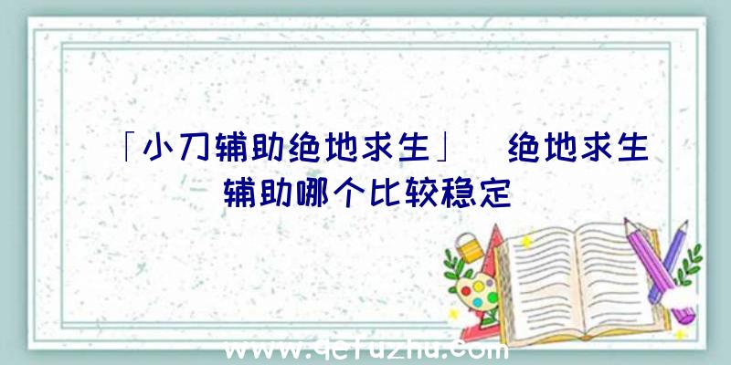 「小刀辅助绝地求生」|绝地求生辅助哪个比较稳定